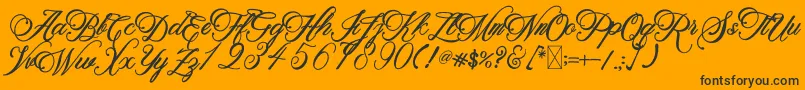 BeethovenSyinthesa Font – Black Fonts on Orange Background