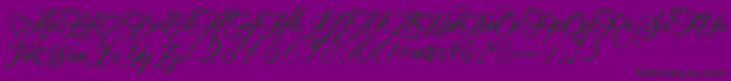 BeethovenSyinthesa Font – Black Fonts on Purple Background