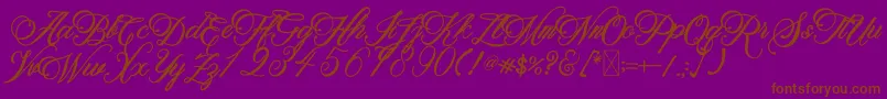 BeethovenSyinthesa Font – Brown Fonts on Purple Background