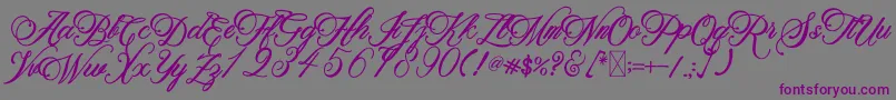 BeethovenSyinthesa Font – Purple Fonts on Gray Background