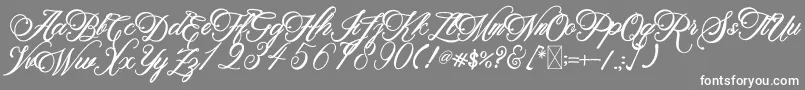 BeethovenSyinthesa Font – White Fonts on Gray Background