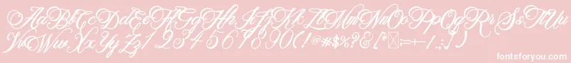 BeethovenSyinthesa Font – White Fonts on Pink Background