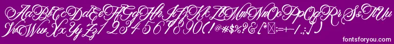 BeethovenSyinthesa Font – White Fonts on Purple Background
