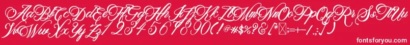 BeethovenSyinthesa Font – White Fonts on Red Background