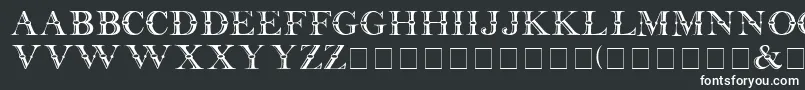 フォントBeffle Medium – 黒い背景に白い文字