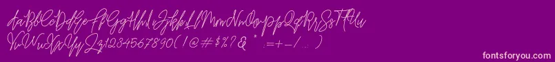Befindisa Font – Pink Fonts on Purple Background