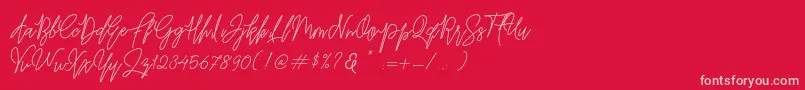 fuente Befindisa – Fuentes Rosadas Sobre Fondo Rojo