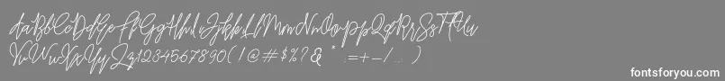 Befindisa-Schriftart – Weiße Schriften auf grauem Hintergrund