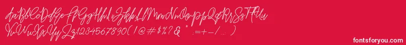 フォントBefindisa – 赤い背景に白い文字