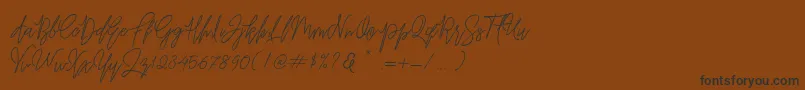 Befindisa Font – Black Fonts on Brown Background