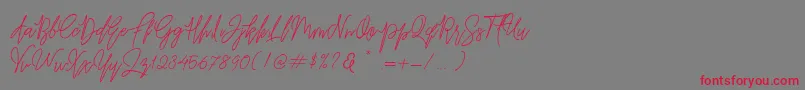 Befindisa Font – Red Fonts on Gray Background