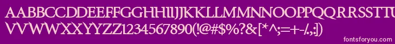 InfraredExtrabold Font – Pink Fonts on Purple Background