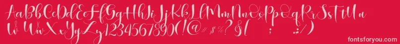 Begokly Font – Pink Fonts on Red Background