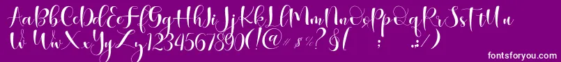 Begokly Font – White Fonts on Purple Background