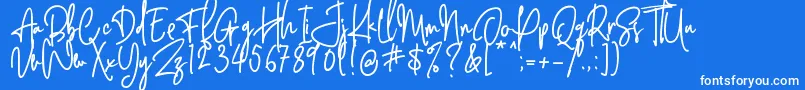 Behavior Indihome   Regular Font – White Fonts on Blue Background