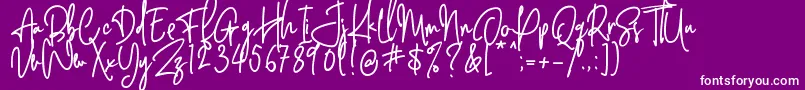 Behavior Indihome   Regular Font – White Fonts on Purple Background