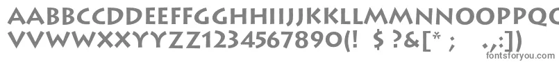 LithoscBold-Schriftart – Graue Schriften