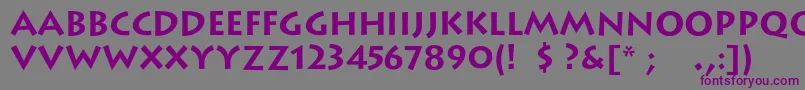 LithoscBold-Schriftart – Violette Schriften auf grauem Hintergrund