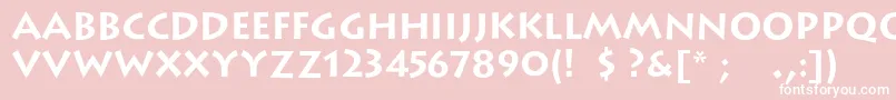 LithoscBold-fontti – valkoiset fontit vaaleanpunaisella taustalla