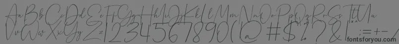 Beholder Font – Black Fonts on Gray Background