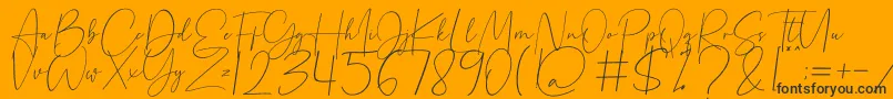 Beholder Font – Black Fonts on Orange Background