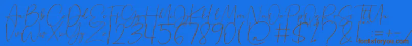 Beholder Font – Brown Fonts on Blue Background