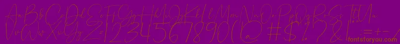 Beholder Font – Brown Fonts on Purple Background