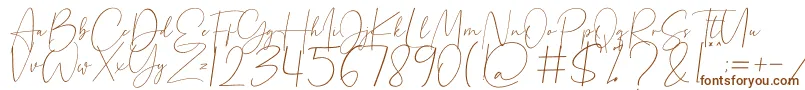 Beholder Font – Brown Fonts on White Background