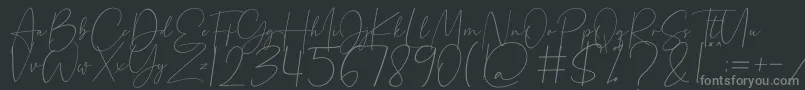 Beholder Font – Gray Fonts on Black Background