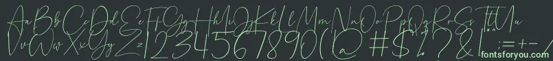 Beholder Font – Green Fonts on Black Background