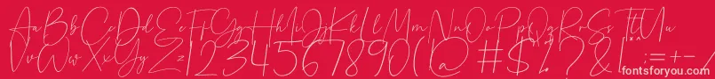 Beholder Font – Pink Fonts on Red Background