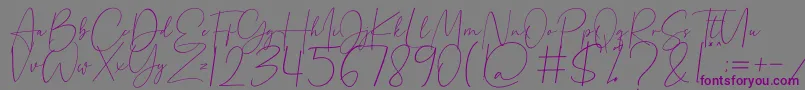 Beholder-fontti – violetit fontit harmaalla taustalla