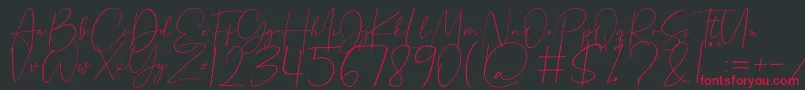 Beholder Font – Red Fonts on Black Background