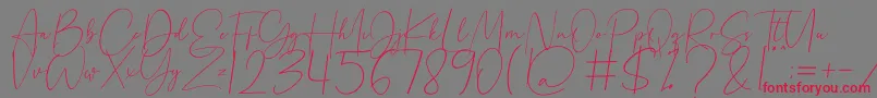 Beholder Font – Red Fonts on Gray Background