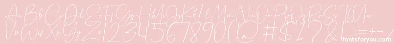 Beholder Font – White Fonts on Pink Background