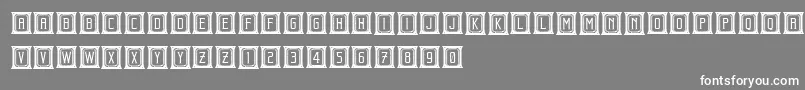 BeholderCapitals Font – White Fonts on Gray Background