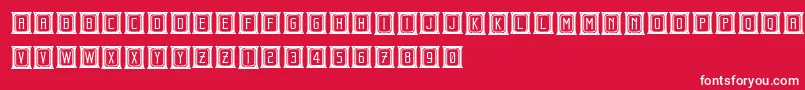 BeholderCapitals Font – White Fonts on Red Background