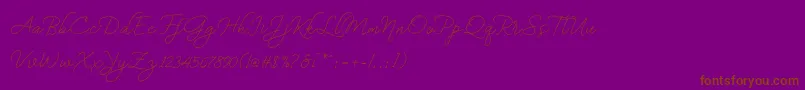 bekafonte dafont Font – Brown Fonts on Purple Background