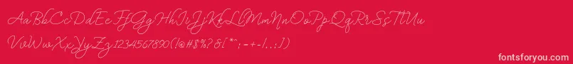 bekafonte dafont Font – Pink Fonts on Red Background