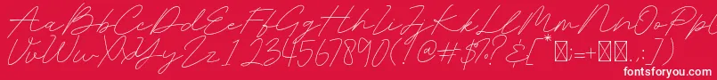 フォントBelatina – 赤い背景に白い文字
