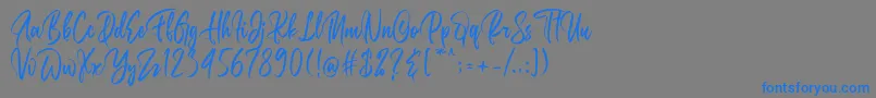 Belgedesフォントについての詳細 フォントBelgedes – 灰色の背景に青い文字