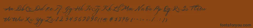 Belgiansignature Font – Black Fonts on Brown Background