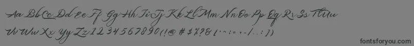 フォントBelgiansignature – 黒い文字の灰色の背景