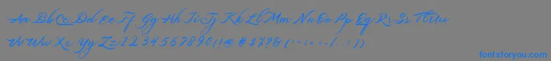 Belgiansignature Font – Blue Fonts on Gray Background