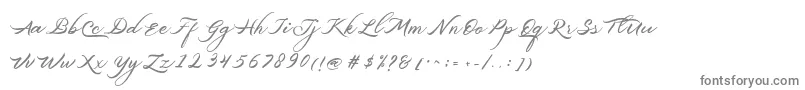 Belgiansignature-fontti – harmaat kirjasimet valkoisella taustalla