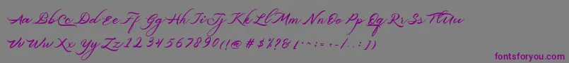 Belgiansignature-Schriftart – Violette Schriften auf grauem Hintergrund