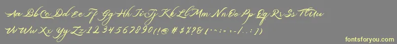 Belgiansignature-Schriftart – Gelbe Schriften auf grauem Hintergrund