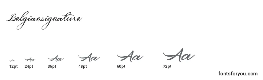 Belgiansignature Font Sizes