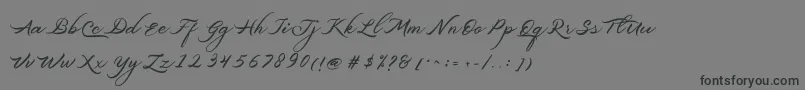 フォントBelgiansignature – 黒い文字の灰色の背景