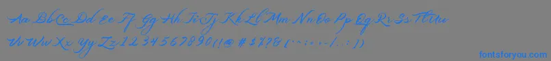 Belgiansignature Font – Blue Fonts on Gray Background